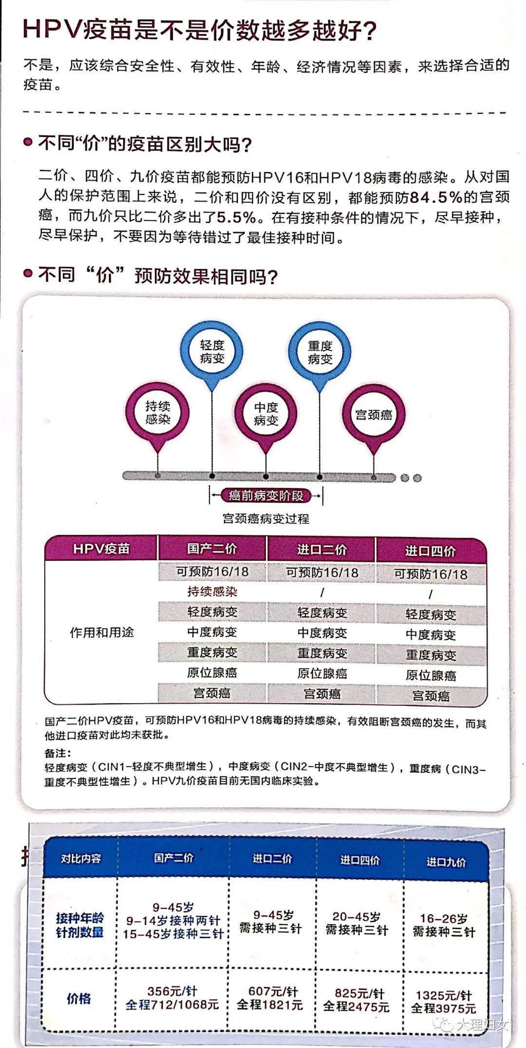 数码 第700页