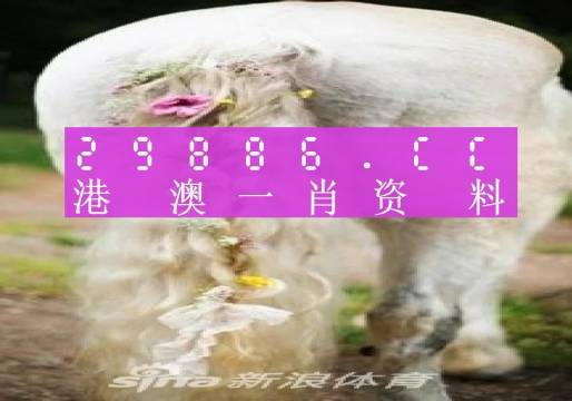 数码 第19页