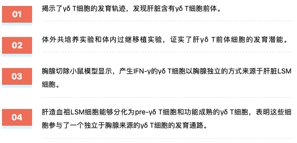 2025新奥资料免费精准,揭秘|全面释义解释落实