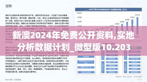 新澳资料2024年最新版本更新与精选解析，落实、解释与前瞻性探讨