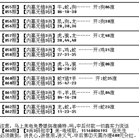 十二生肖与未来两年之49个码，全面释义、解释与落实