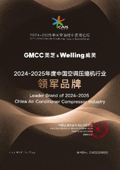 迎接未来，探索2024与2025正版资料免费大全的全面释义与落实策略