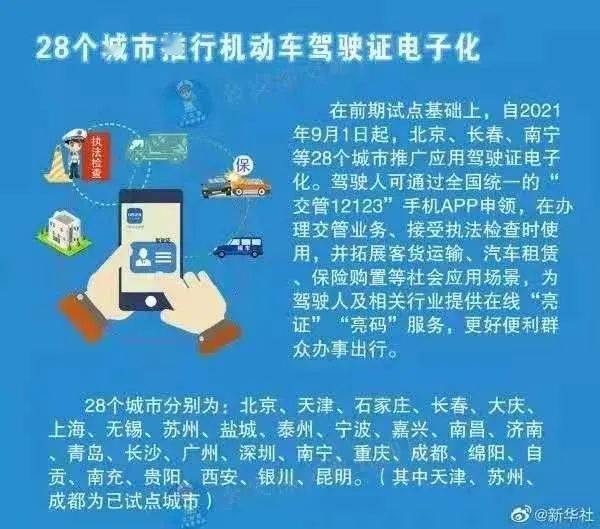 澳门精准一码投注法，解析与落实精选策略