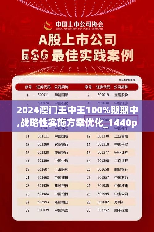 新澳门王中王正版解析与落实策略，展望2024-2025年