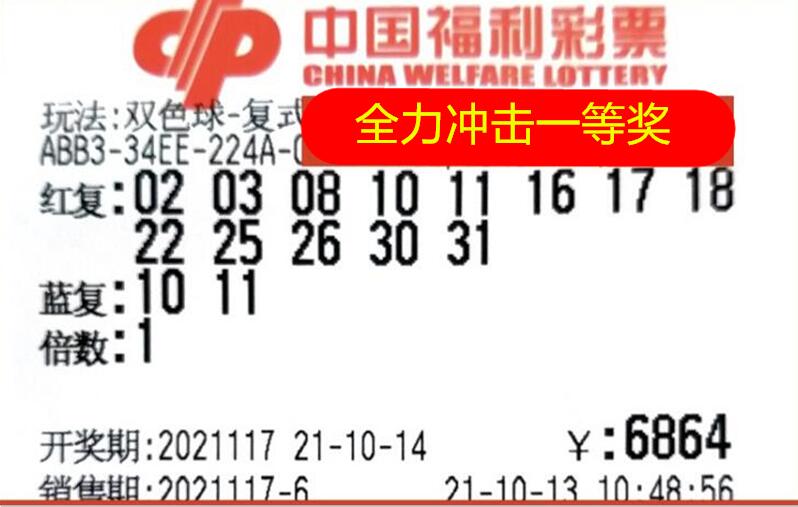 澳门彩票资料解析与落实策略，4949澳门彩资料大全精选解析