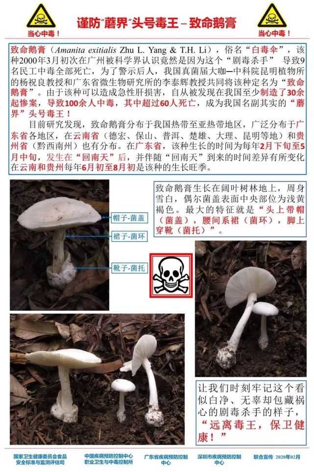 阳煤南岭煤矿最新消息报告