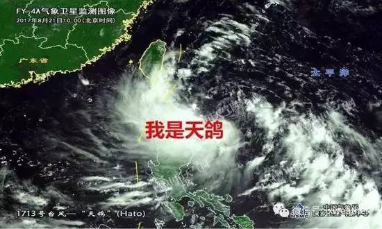 天鸽台风最新消息视频，台风动态与应对措施