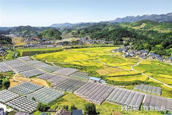 毕节阿市乡最新发展，乡村振兴与多元产业共融的崭新篇章