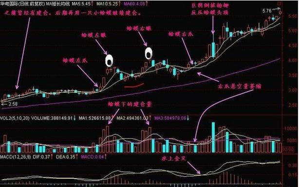 通合科技股票最新消息深度解析